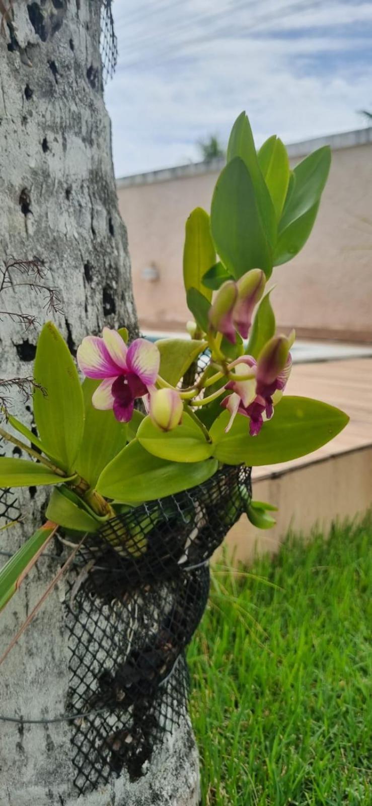 Uma Casa Para O Descanso! Camaçari Exteriör bild